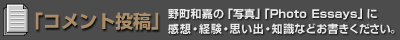 �u�R�����g���e�v