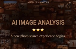 Search & AI Analysis