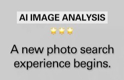 Search & AI Analysis