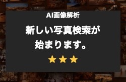 AI画像解析・検索